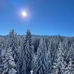 Daire Our Story, Jahorina Pale