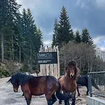 Daire Our Story, Jahorina *