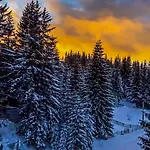 Our Story, Jahorina