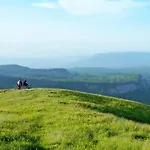 Our Story, Jahorina Daire Pale