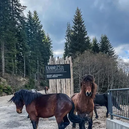 Daire Our Story, Jahorina *