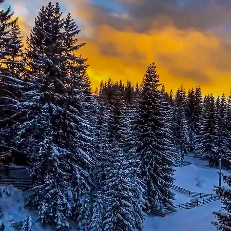 Our Story, Jahorina